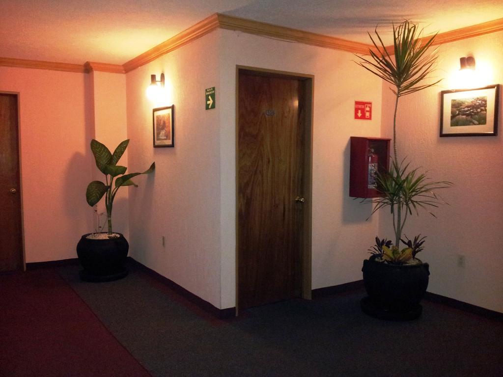 Hotel Siesta Del Sur مدينة مكسيكو المظهر الخارجي الصورة