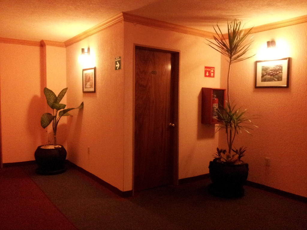 Hotel Siesta Del Sur مدينة مكسيكو المظهر الخارجي الصورة